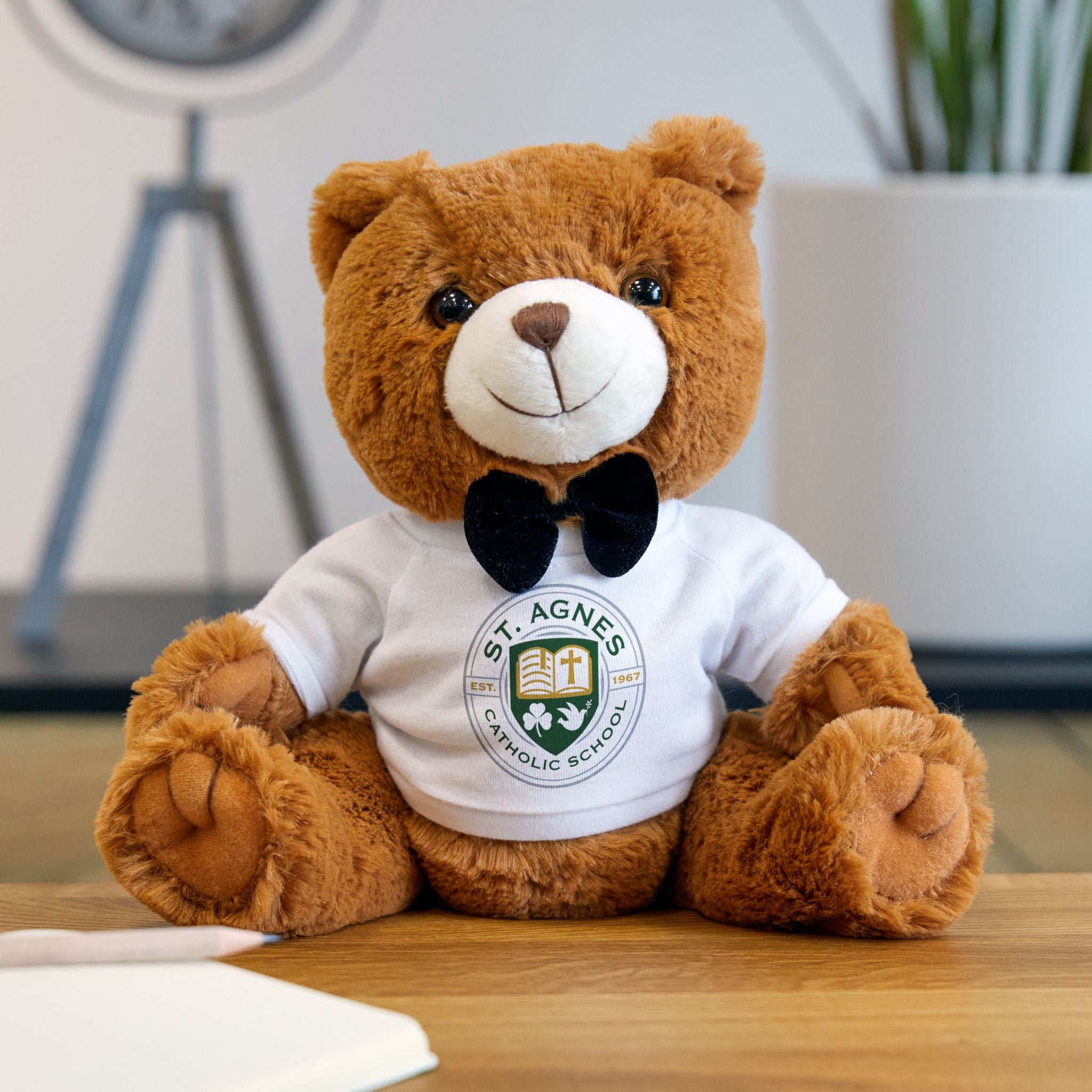 Plush Teddy Bear with St. Agnes Catholic School T‑Shirt